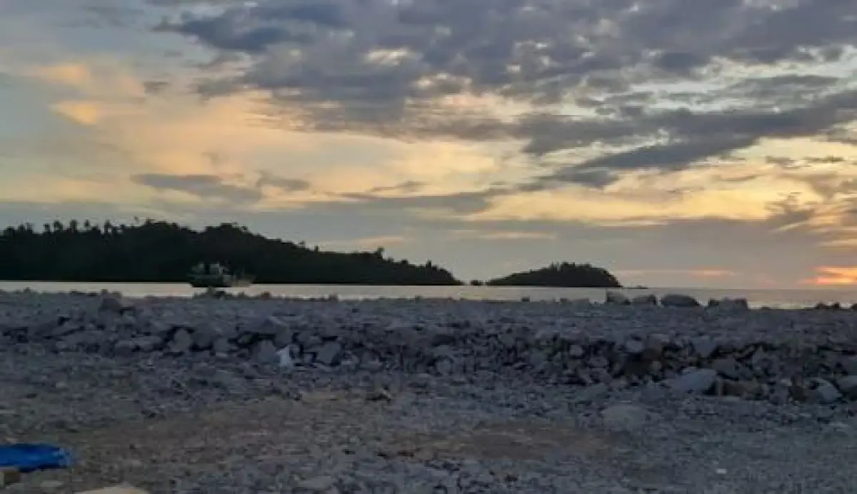 Alasan Pulau Penebang Jadi Proyek Strategis Nasional